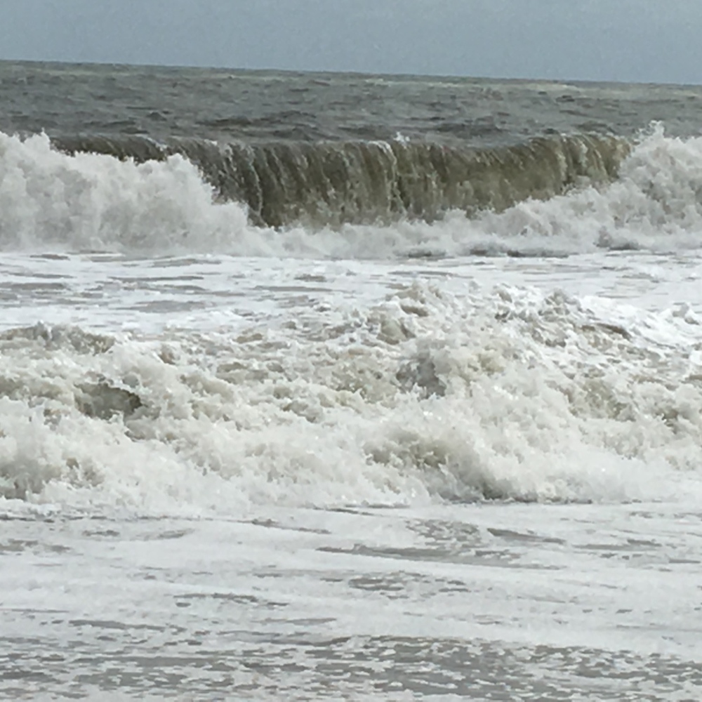 Meet your Posher, Helene